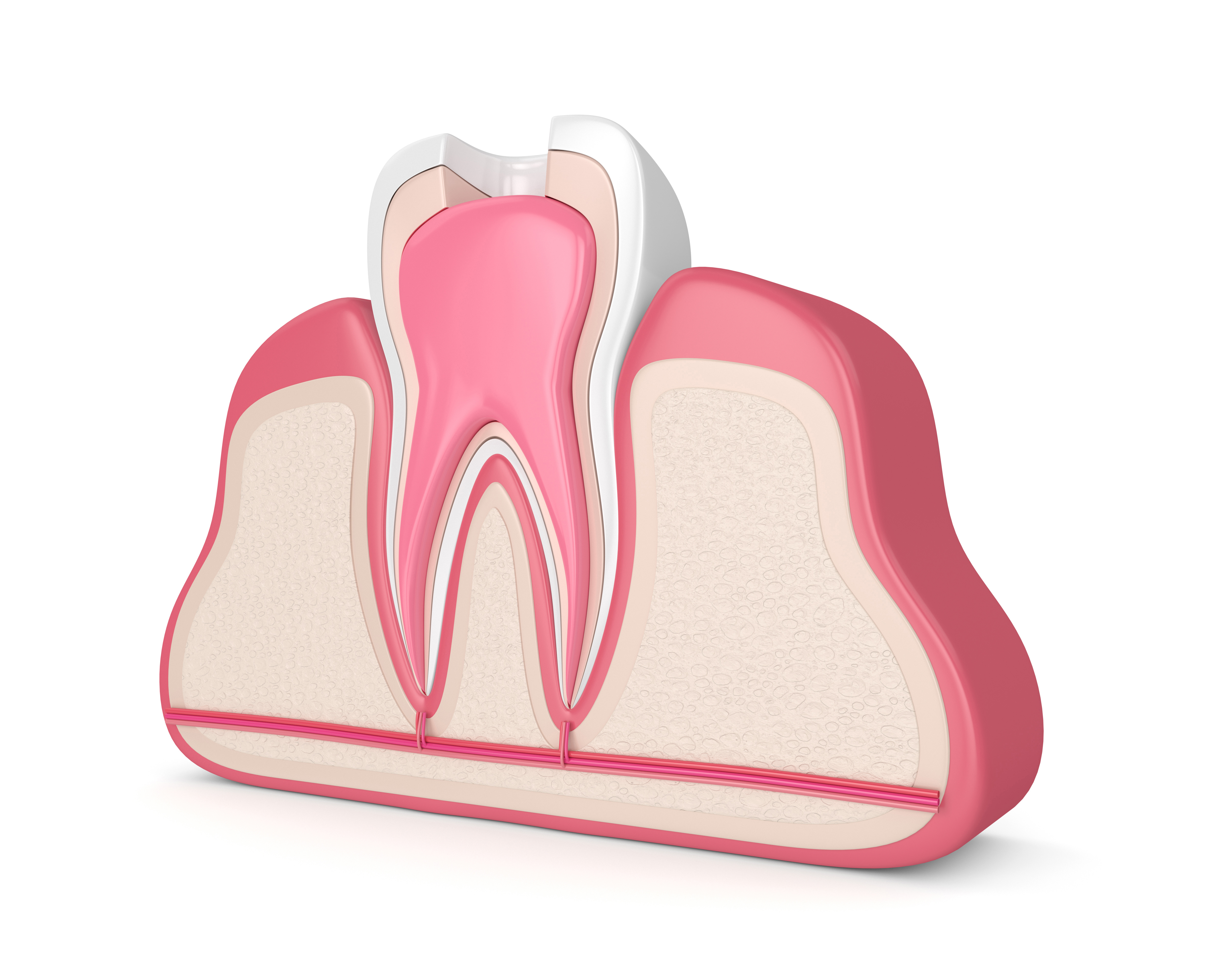 Your Last Attempt At Saving A Tooth | Conroe, TX