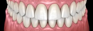 Healthy human teeth with normal occlusion frontal view. Medically accurate tooth 3D illustration