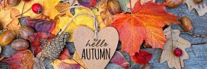 hello autumn. Autumn Background with heart greeting card and colourful leaves over wooden board. Thanksgiving wooden table decorated bright autumn leaves. Autumn season, fall backdrop