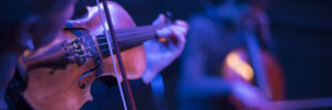 Violin at the concert. Close-up