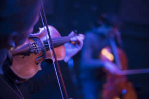 Violin at the concert. Close-up