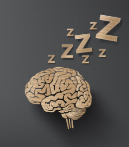 vector of sleep concept with brain. info graphic cardboard design.