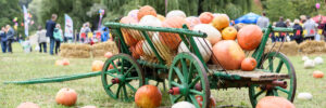Big pile of pumpkins on hay in a wooden cart the season of harvest on the farm thanksgiving at a festival in Moldova