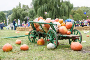 Big pile of pumpkins on hay in a wooden cart the season of harvest on the farm thanksgiving at a festival in Moldova